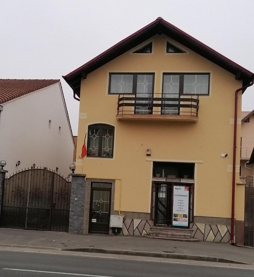 브라쇼브 Casa Tatar 빌라 외부 사진